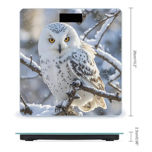 Báscula Digital para Baño Winter White Owl de Vidrio Templado miniatura 2