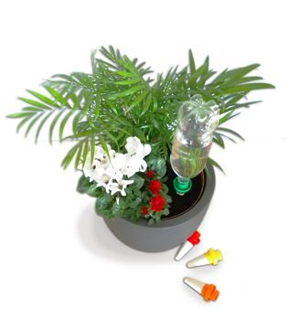 AquaSolo 10450 Pack of 4 Reusable Cones - Microporous Ceramic - Red, Taille XL - Image 3