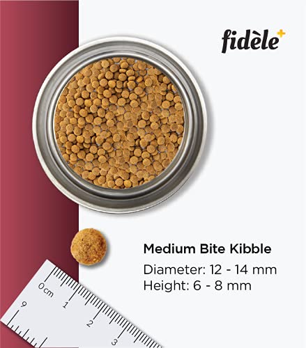 Image of Fidele+ Dry Dog Food 1 Kg Senior & Overweight Dogs Complete & Balanced Diet Supports Weight Control, Joints & Immunity No Artificial Flavours, Preservatives