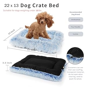 Nononfish Puppy Crate Bed Washable Small for Small Dogs Non Chewable Material Xs 22 Inch Plush Washable Crate Mat for Cages Sofa Protect Cucciolini Doodles Nononfish puppy crate bed washable small for small dogs non chewable material xs 22 inch plush washable crate mat for cages sofa protect cucciolini doodles