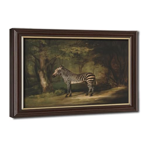 Poster George Stubbs Zebra 1763 - Impression sur toile avec cadre suspendu 20x30 cm