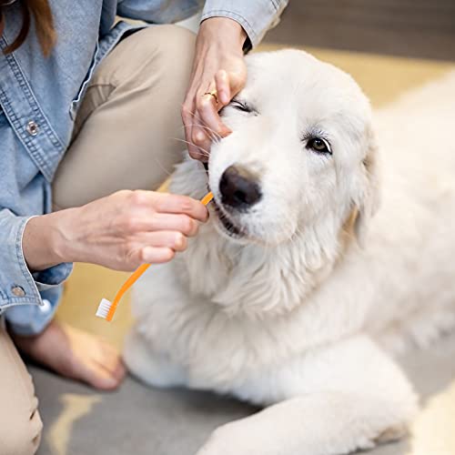 TGFIX 14PCS Spazzolino per Cani Spazzolino Denti