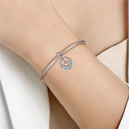 Joyería de delfín en plata como regalo de amor para pulseras personalizadas 2