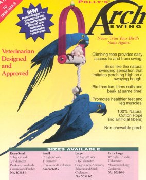 Pollys Pet Products Arch Bird Swing Size Large 1.5 x 8in Assorted Colors