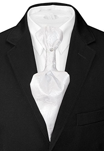 Image of Vesuvio Napoli PreTied ASCOT Solid PAISLEY Color Cravat Men's Neck Tie 21 Colors