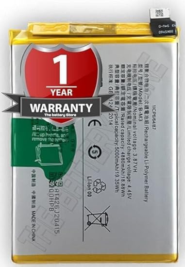 Image of THE BATTERY STORE Original B-M3 Battery for Vivo Y30 / Y50 Battery with 1 Year Warranty**** (PPP89)