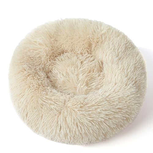 [ADSNS] ybgxbh ybgNbV ybg}bg ybg\t@ Eh^ ی^ g ~ h J[9 ΍ 􂦂 Lp ^p ybgpi pxbh pNbV ^ 100 Lp  ی^ Eh^ yb