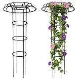 Obelisco para Jardín 120 cm, Soporte Desmontable para Plantas Trepadoras, Estructura Tipo Jaula para Rosas Clemátides y Tomates, para Maceta y Parterre