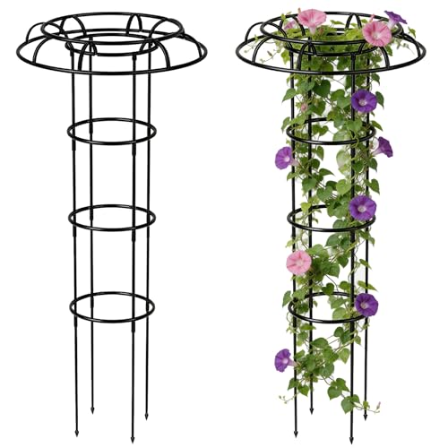 Obelisco para Jardín 120 cm Soporte Desmontable