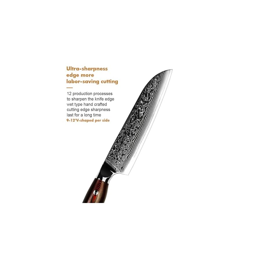 Kitchen Knives Knife Set Dishwasher Safe 67 Layers Damascus Steel VG-10 with Wood Resin Handle Straight Edge Dinner Knives, Razor-Sharp, Fit Restaurant Daily Household Use Brand Packaging