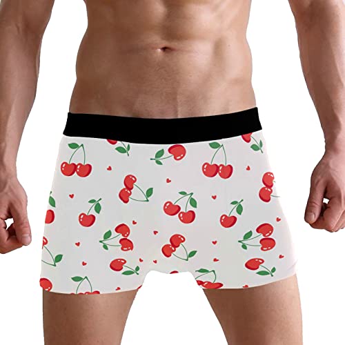 Men's Stretch Underwear Christmas Gnomes Polyester Men Boxer Briefs2