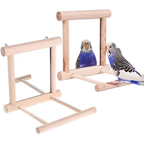 Bird Mirror, Bird Swing Parrot Cage Toys Swing Hanging Play with Mirror for Small Birds Greys Parakeet Cockatoo Cockatiel Conure Lovebirds Canaries Little Macaw African Parrot (2pc) Cover