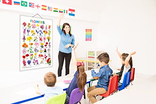 Image of GO WOO Combo of 2 Alphabet and Flowers Educational Posters for Preschool Kids Classroom Study | Learning- Charts for Kids Learning (20 inchX30 inch Inches)
