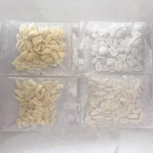 How long do porcelain veneers last (June 2024)