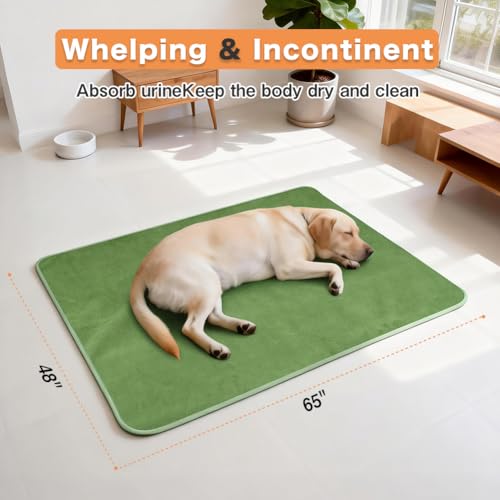 Image of Washable Pee Pads for Dogs, Extra Large Reusable Dog Pee Pad, Waterproof Pet Mat, Dog Playpen Mats for Puppy Training Whelping Playpen Pads, Green, 48x36 inch