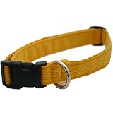 Hemp Corduroy Dog Collar - No Pattern (3/4" Medium, Marigold)