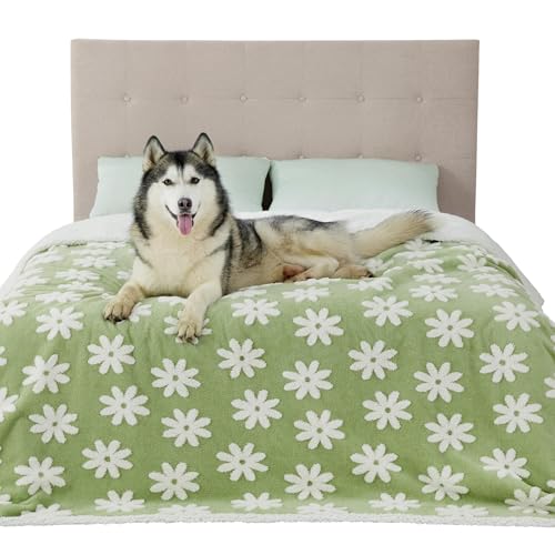 Lesure �y�b�g �u�����P�b�g �� �h���}�b�g �L �ѕz �_�炩�� �h�� �g���� �W���J�[�h���n �R��h�~ �\�t�@�[�ی� �ې� �������֗� �J��Ԃ��g���� ���^��/���^��/�L�p (�O���[��, 220*275cm)