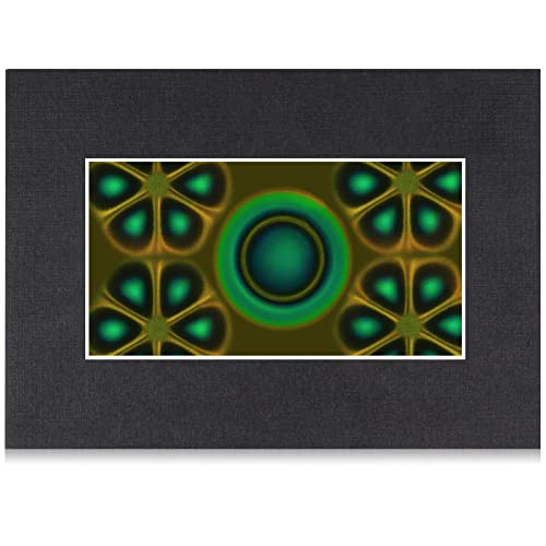 2 x 4 Inch Magnetic Field Viewing Film, Magnetic Field Viewer, Magnetic Flux Display, Magnet Pattern Detector, See Magnetic Field for Scientific Project (2 * 4 Inch)