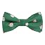 Green Santa Claus