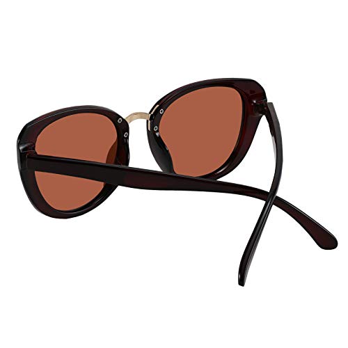 FEISEDY Polarized Cat Eye Sunglasses Butterfly Thick Frame Women Men UV Protection Sunglasses B40122