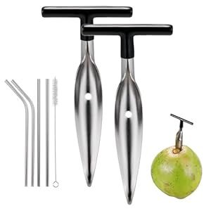 2 Pack Coconut Opener Tool Set with 4 Reusable Straws & Brush, Food Grade Stainless Steel Coco Nut Bottle Opener for Young Thai Green Fresh Coconut Water, Safe and Convenient Coco Drill Punch Tool