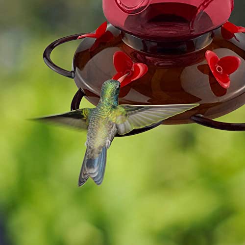 Urban Deco FD-EP-230201-2759 Large Capacity Hummingbird Feeders For Outdoors Hanging Wild Bird Feeders With 5 Nectar Bird Feeding Station 30 Oz Red Glass Bird Feeder thumb #3