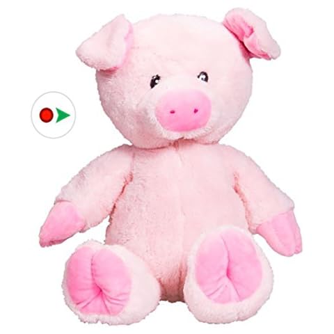 Stuffems Toy Shop Record Your Own Plush 16 inch Pink Pig - Ready 2 Love in a Few Easy Steps Cover