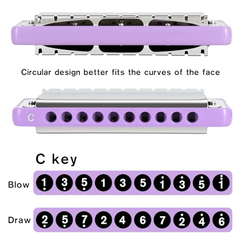 EASTROCK 10 Holes Blues Harmonica Key of C Mouth Organ with Case has Explosive Power For Adults Professionals Beginners CB05 Purple - Les Beatles, Paul McCartney, John Lennon, RIngo Starr, George Harrison EASTROCK 10 Holes Blues Harmonica Key of C Mouth Organ with Case has Explosive Power For Adults Professionals Beginners CB05 Purple – Image 5