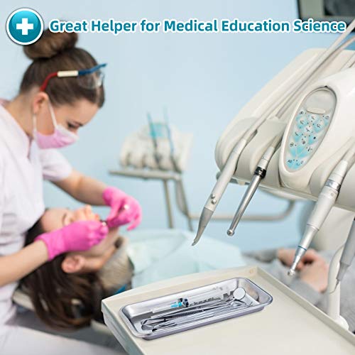 4 Pack Small Surgical Tray, Guctop 201 Stainless Steel Tray With Seamless Trays And Moderate Edge Height For Lab Dental Tattoo Piercing Instruments Organizer #TOP2