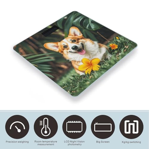 Báscula Digital de Baño con Diseño Tropical y Corgi miniatura 3