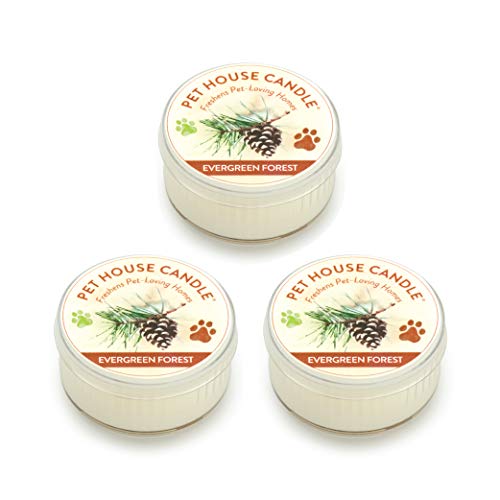 Pet House Mini Candles for Pet Odor Made with Natural Soy Wax, Plant Based, Dog and Cat Friendly Scented Candles, Evergreen Forest Pack of 3