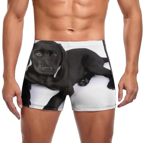 Maillot de bain imprimé Labrador noir stretch pour homme actif