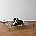 Amazon Basics Cooling Elevated Breathable Pet Bed For Dog, X-Large (60.1 x 37.1 x 8.9 Inches), 1 count, Grey
