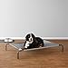 AmazonBasics - Cama para mascotas anticalor elevada, XL, Gris