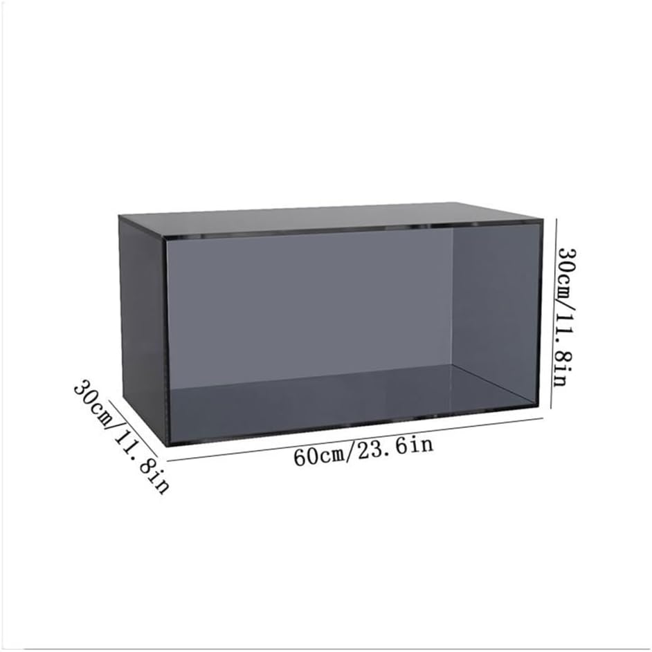 Cd Dvd Storage Record Storage Stand Holder Acrylic CD Display Rack Book Shelf Magazine(Blue)