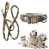 Ampliamente utilizado: adecuado para la mayoría de perros medianos y grandes, mide la circunferencia del cuello de tu perro antes de realizar el pedido. Muy adecuado para el entrenamiento diario, caminar y correr.