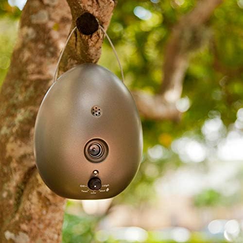 track my pet's microchip