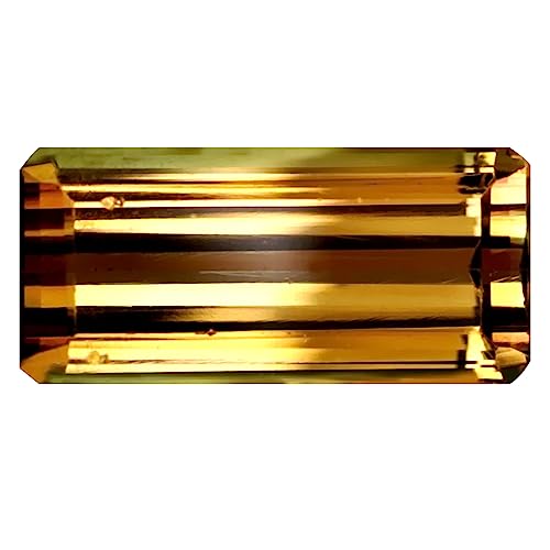 Tourmaline bicolore Mozambique 14x6 mm, gemme octogone brute non traitée de 3.94 carats
