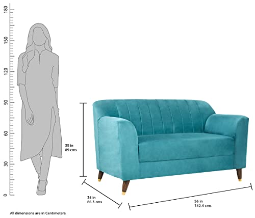 Image of Amazon Brand - Solimo Arwold 2 Seater Sofa (Velvet Fabric, Sky Blue)