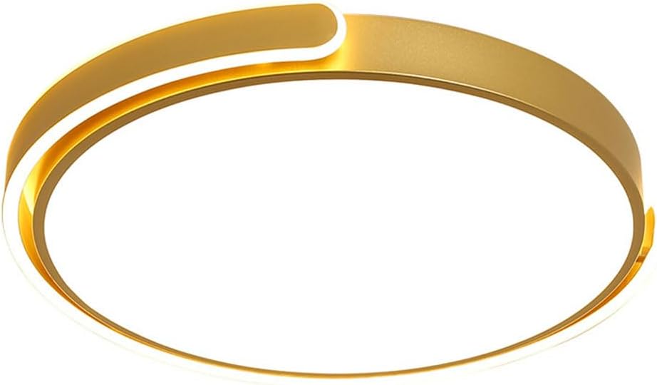 Dimmable with Remote Control Ceiling Light round Close to Ceiling Lighting Fixtures Nordic Minimalist Panel Ceiling Lamp Easy to Install Flat Ceiling Lamp for Bedroom Kitchen Living Room(38/