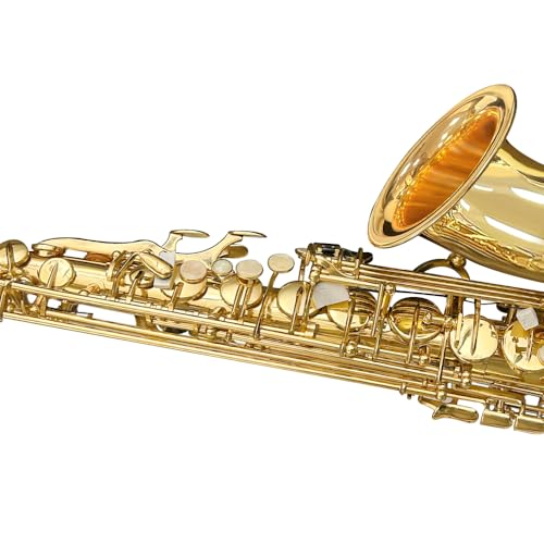 Image of Yinfente Eb Alto Saxophone For Beginners Adult,Saxophone Student,E Flat Alto Sax Full Kit With Reeds,Pads Cushions,Hard Carrying Case,Cleaning Cloth & Rod,Mouthpiece,Gloves,Neck Strap Gold