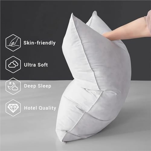 Set 2 Almohadas de grano de trigo sarraceno 20x26 cm firmes miniatura 2