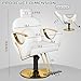 Dangvivi White Barber Chair, Reclining Salon Chair for Hair Stylist, Height Adjustable Hair Styling Armchair with 360 Degrees Rolling Swivel, Multi-Function Hairdresser Braiding Armchair