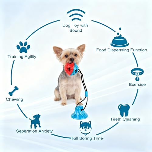 Hundespielzeug mit Saugnapf Hunde Molar Hundebeschäftigung für Zuhause Spielzeug Hunde Beschäftigung, Kauseil Ball Spielzeug Selbstbeschäftigung Hund Zahnbürste Spielzeug für Kleine Mittelgroße Welpe