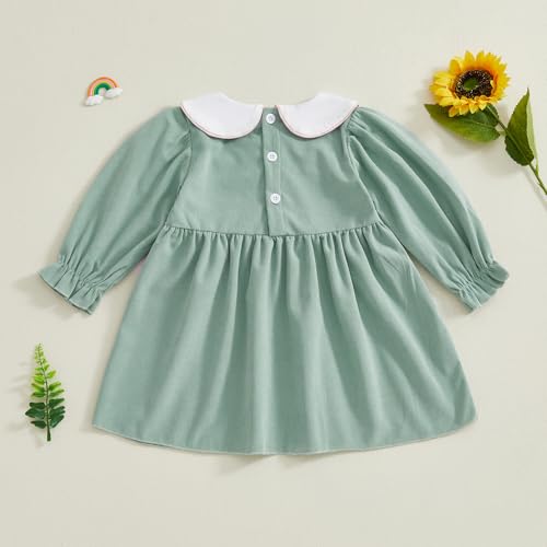 Toddler Baby Girl Fall Outfits Silly Goose Smocked Dress Long Sleeve Birthday Girl Dress Cute Smash Cake Clothes (Goose Embroidered Green, 6-12 Months)