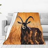 Quatre tailles pratiques : la couverture en flanelle imprimée Antelope Sable est disponible en quatre tailles différentes pour répondre à différents besoins : 102 cm x 76 cm, 125 cm x 102 cm, 150 cm x 125 cm, 200 cm x 150 cm. Choisissez celui qui correspond le mieux à vos besoins.