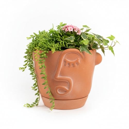 HERDUK 6 Inch Terracotta Abstract Face Planter with Drainage &