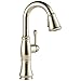Delta Faucet Cassidy Bar Faucet with Pull Down Sprayer, Bar Sink Faucet Single Hole, Wet Bar Faucets with Pull Down Sprayer, Prep Sink Faucet, Lumicoat Polished Nickel 9997-PN-PR-DST