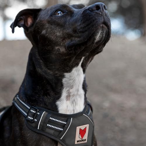 Image of Wooflix Heavy Duty Reflective Dog Harness for Medium Sized Breed Dogs - No Pull, No Choke Harness for Dog with Adjustable Chest Belt with Soft Padded Handle | Black - Size: Medium (10kg to 22kg Dog)
