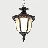 ★ luz colgante exterior elegante y fino, crea un ambiente acogedor y romántico, ideal para aumentar la visibilidad nocturna y la iluminación de seguridad.
